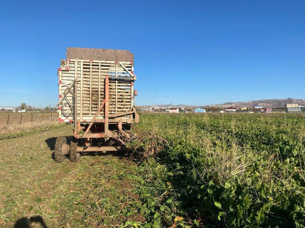 Tarlasına ektiği sebzelerin son halini görünce aklı durdu! Mutfak tüpüyle yan yana koyup kıyasladı, görüntüler şaşırttı 2
